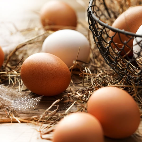 Gyrenbader Freiland-Eier