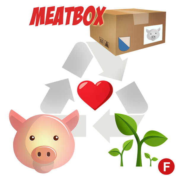 Meatbox Schwein Kreislauf Meatbox Schwein Kreislauf